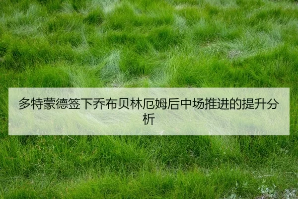duo-te-meng-de-qian-xia-qiao-bu-bei-lin-e-mu-hou-zhong-chang-tui-jin-de-ti-sheng-fen-xi-2-292.jpg