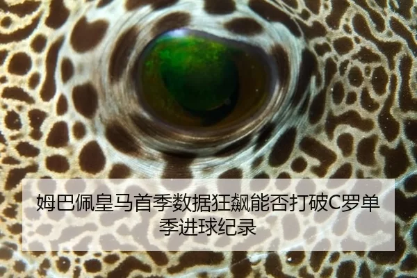 姆巴佩皇马首季数据狂飙能否打破C罗单季进球纪录