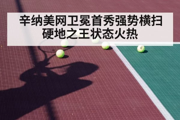 辛纳美网卫冕首秀强势横扫硬地之王状态火热