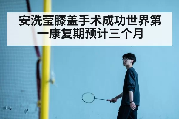 An Se-young badminton